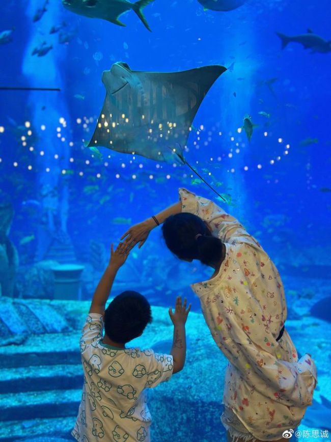 陈思诚为佟丽娅零点庆生：朵朵妈生日快乐幸福永远