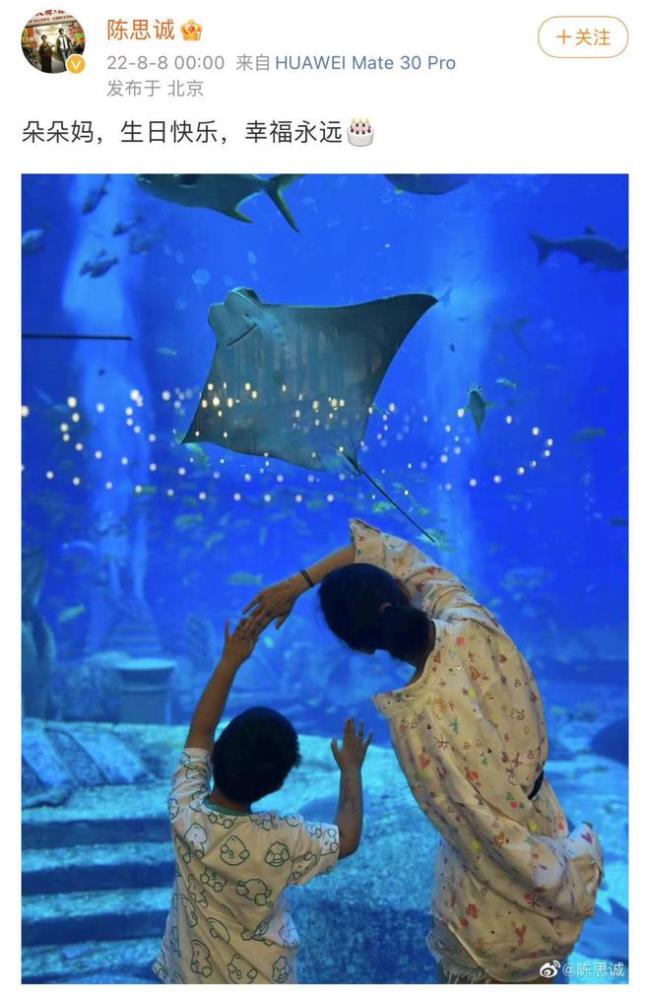 陈思诚为佟丽娅零点庆生：朵朵妈生日快乐幸福永远