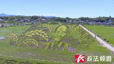 ​画面超震撼！长沙 300 位村民在 600 亩水稻里种出袁隆平彩色画像