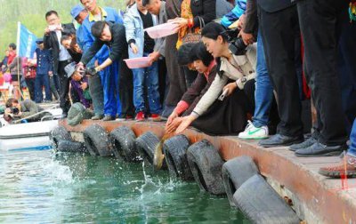 ​别让“放生”变成“杀生”闹剧