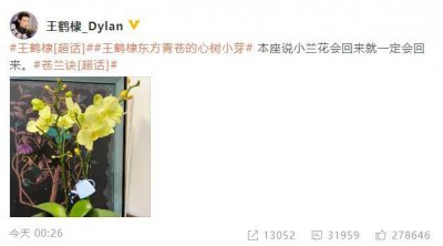 ​王鹤棣晒兰花图:本座说小兰花会回来就一定会回来