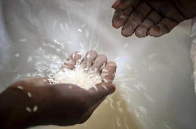 ​印度对大米下手！想吃印度米先交 20% 税