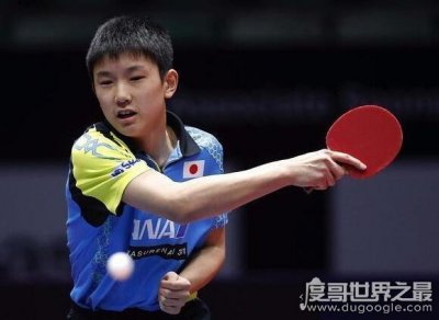 ​张本智和为什么改国籍，为了更好的发展空间一家人全部更改国籍