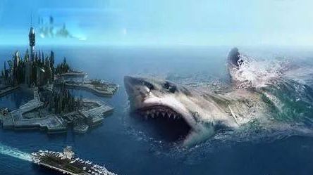 世界上最大的鱼排名前六 第1名鲸鲨体长12.65米