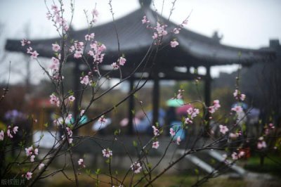 ​八句的七言律诗，十首唯美七言律诗