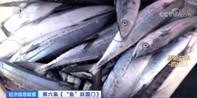 ​又一全球第一！游向世界餐桌→