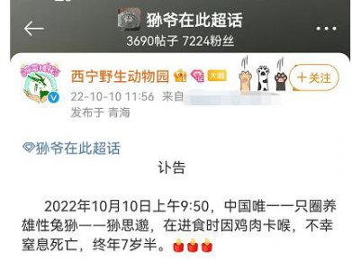 ​冲上热搜！知名网红“狲思邈”意外死亡 ....