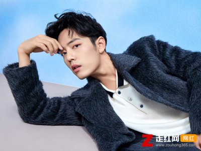 ​肖战227事件是怎么回事，起底肖战粉丝事件全过程