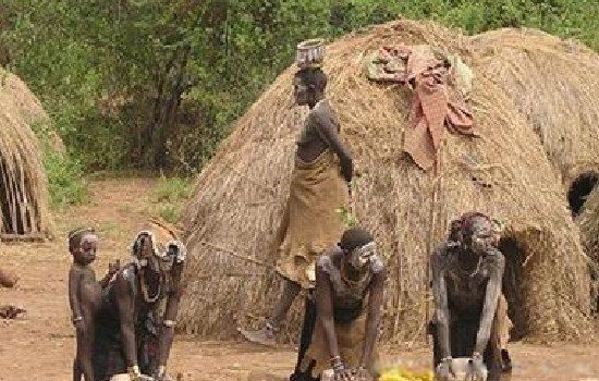 非洲象人族吃什么特有植物 最长56厘米的真相