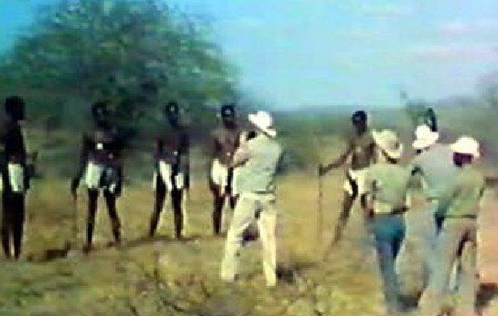 非洲象人族吃什么特有植物 最长56厘米的真相