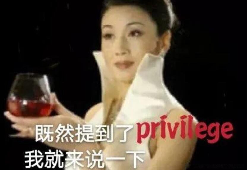 privilege是什么意思 既然提到privilege是什么梗怎么用