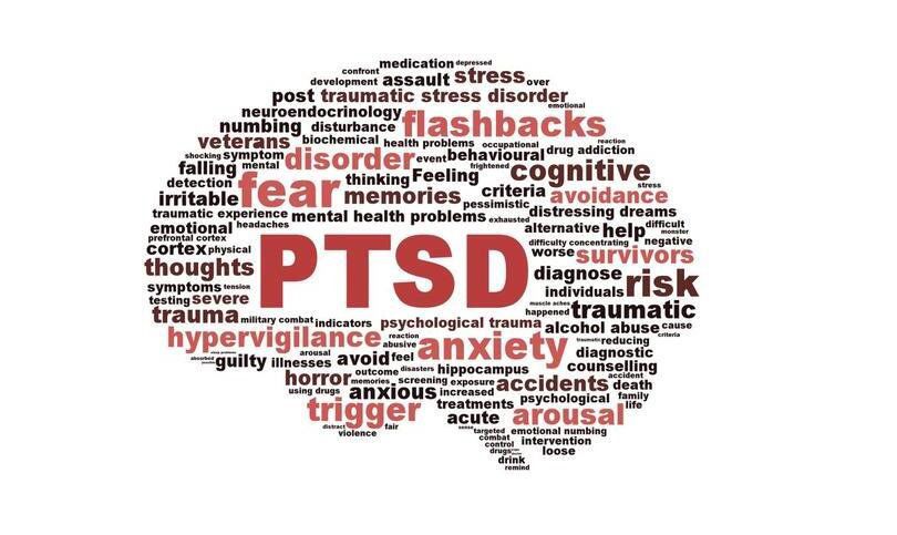 privilege是什么意思 既然提到privilege是什么梗怎么用