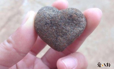 ​李晨石头事件怎么回事（李晨石头门怎么回事）