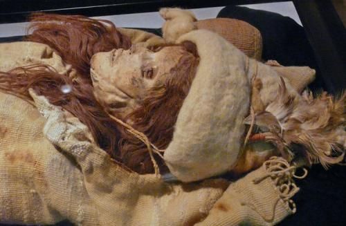 古代四大美女复原图吓人 尸骨复原后真实容貌长啥样