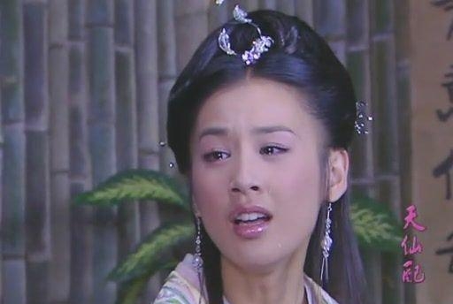 黄圣依演过的所有电视剧(黄圣依有主演过哪些电视剧) 黄圣依 第1张