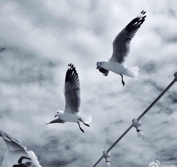 为什么明星唱歌那么好听(爱唱歌的女人有什么好处)  第11张