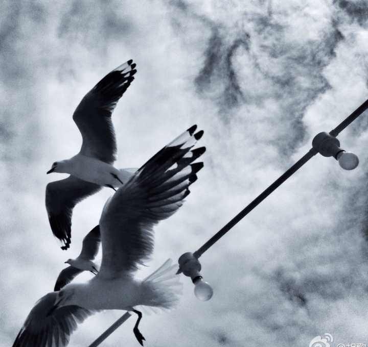 为什么明星唱歌那么好听(爱唱歌的女人有什么好处)  第12张