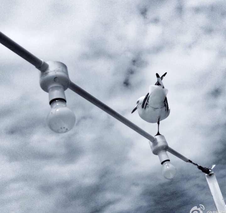 为什么明星唱歌那么好听(爱唱歌的女人有什么好处)  第10张