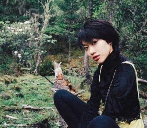 邹元清演过什么电视剧(邹元清主演的电视剧) 邹元清 第1张