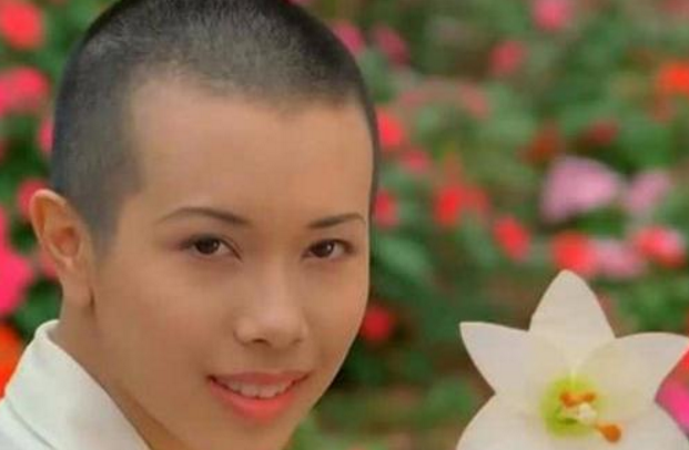 光头明星有哪些名字(专门演坏人的光头明星)  第3张