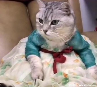 ​9种身上有灵性的征兆表现，能够预知未来预知危险