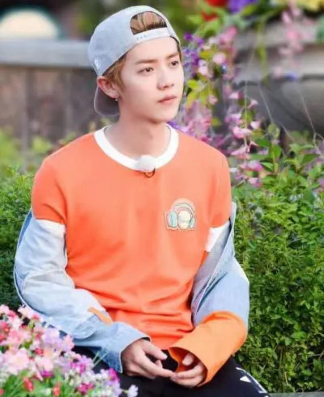 关晓彤和鹿晗什么关系(鹿晗为什么不娶关晓彤)  第16张