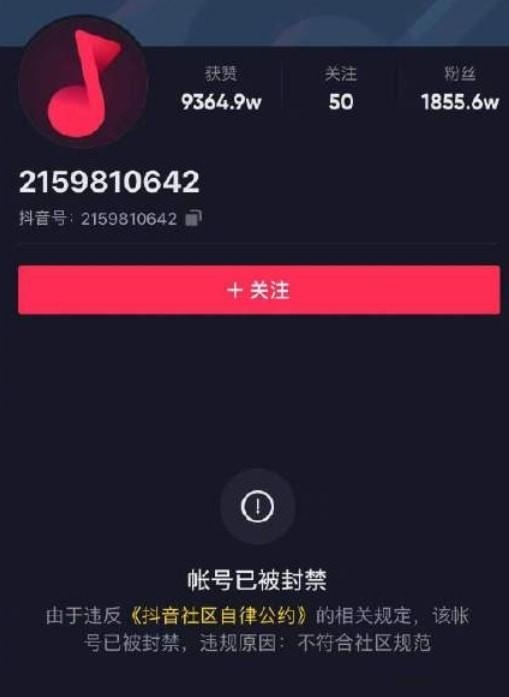 网红主播有哪些(网红主播伊伊) 主播 第3张