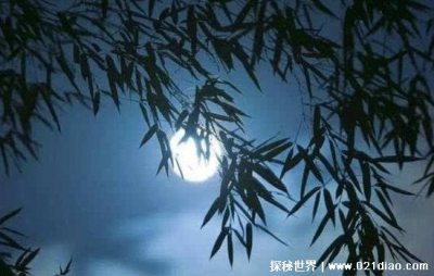 ​四更是几点，北京时间凌晨一点到凌晨三点(也被称为丑时)