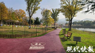 ​打开边角地块绿化空间，南京这些口袋公园成网红打卡点