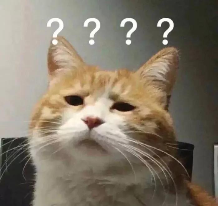 孙红雷像什么狗(孙红雷像什么狗图片) 孙红雷 第4张