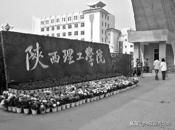 网红芙蓉姐姐现状(网红鼻祖芙蓉姐姐现状) 芙蓉姐姐 现状 第2张