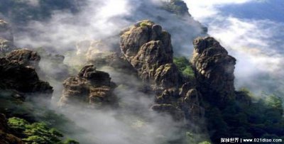 ​神农架深处为何进不去，每年会死多少人(四大恐怖原因禁止进入)