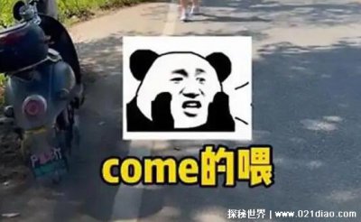 ​COME ON的喂是什么梗，英文歌的魔性歌词(成为小学生新暗号)