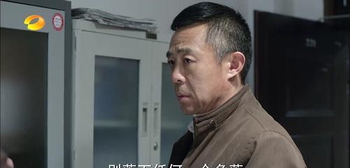 卞涛人民的名义(卞涛人民的名义定妆照) 卞涛 第10张