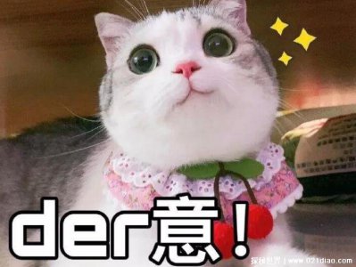 ​网络用语der是什么意思，源自于东北话方言(根据语境有不同含义)
