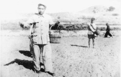 ​谷文昌事迹简介（福建省东山县原县委书记谷文昌）