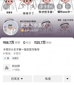 ​卡塔尔拉伊卜小王子开通社交账号，一日涨粉千万！