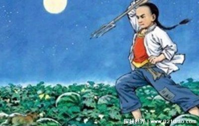 ​少年闰土里的猹是什么动物图片，可能就是现在的狗獾