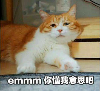 ​emm表情是什么意思啊，表示无语或不知所措(带有敷衍的意思)