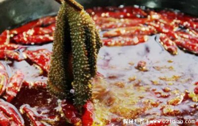 ​火锅吃的毛肚是什么动物身上的什么部位，牛的瘤胃(第一个胃)