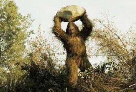 世界上最可怕的野人 世界上的野人长什么样图片