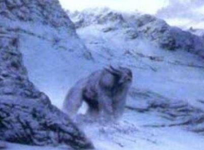 世界上最可怕的野人 世界上的野人长什么样图片