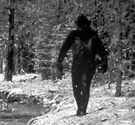 世界上最可怕的野人 世界上的野人长什么样图片