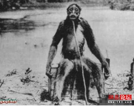 世界上最可怕的野人 世界上的野人长什么样图片