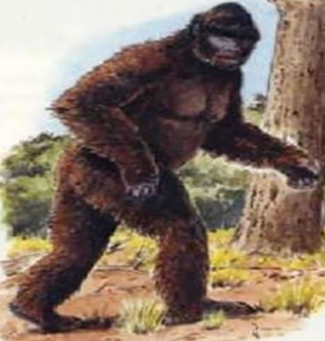 世界上最可怕的野人 世界上的野人长什么样图片