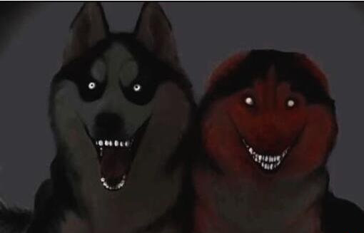 微笑狗存在吗 微笑狗为什么那么吓人