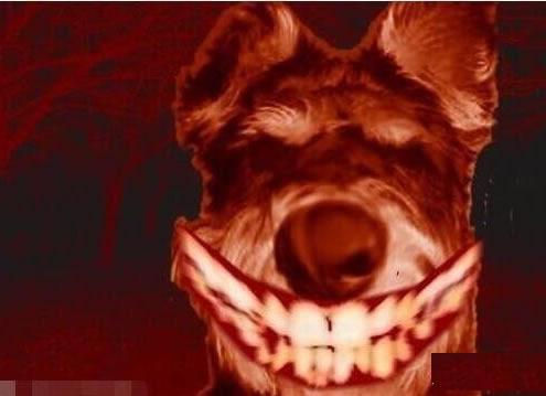 微笑狗存在吗 微笑狗为什么那么吓人