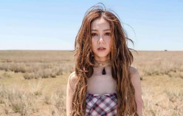 华晨宇承认的女朋友 华晨宇公开过的女朋友