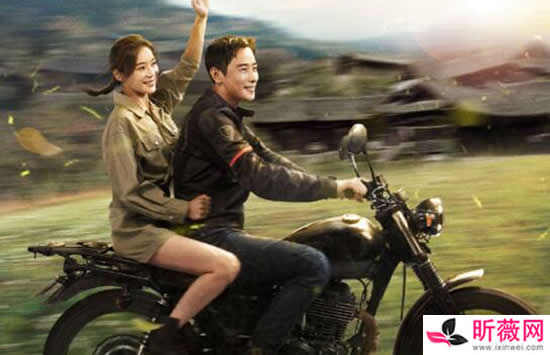 刘荷娜和林志颖恋爱过吗 林志颖为什么不娶刘荷娜