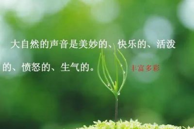 ​什么是大自然的音乐家(水是大自然的音乐家他会什么)
